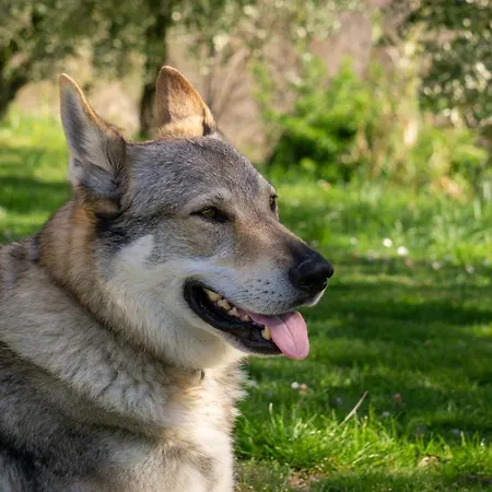 Le Colline Di Giulia - Mini Casa Ai Piedi Della Collina Appartamento