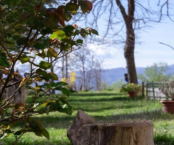 Apartment Le Colline Di Giulia - Mini Casa Ai Piedi Della Collina *